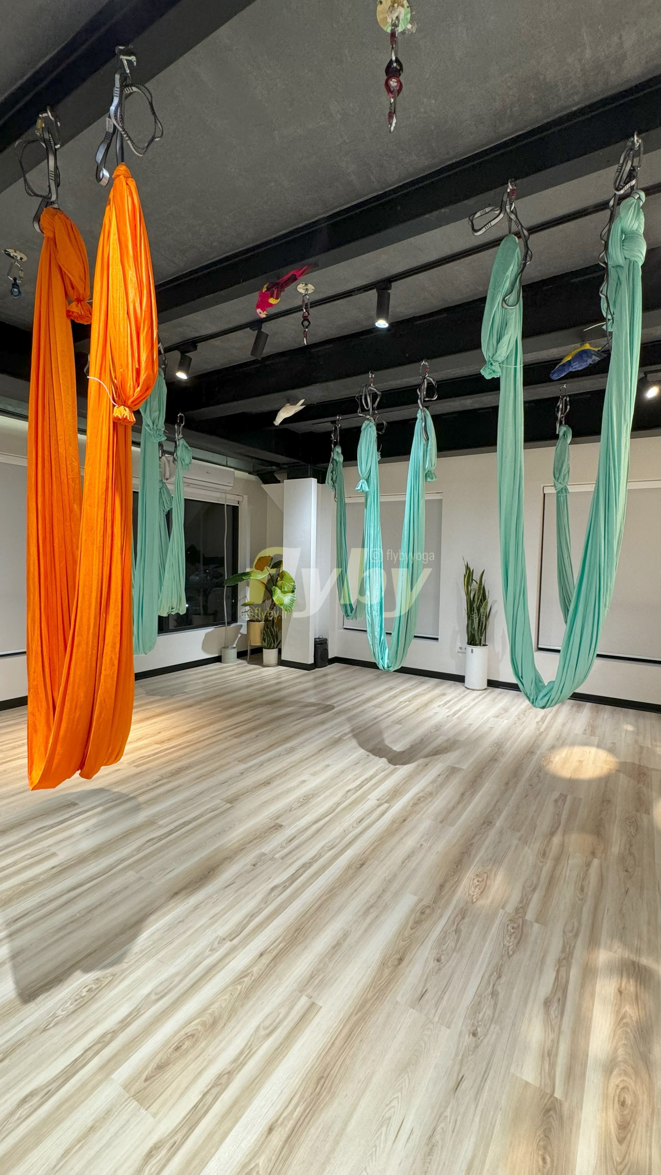 اریالیست، اریال یوگا، ارسال فوری