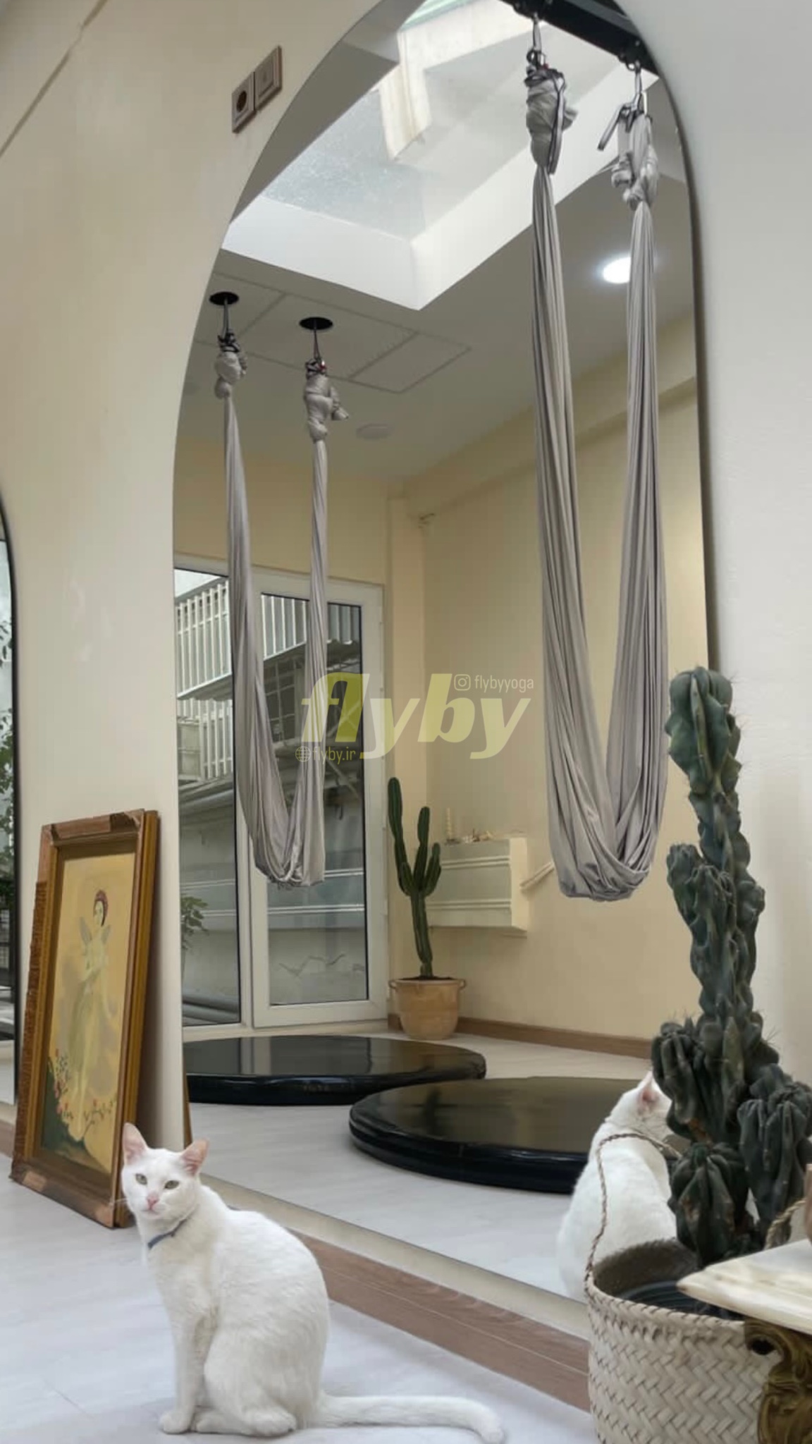 اریالیست، اریال یوگا، ارسال فوری