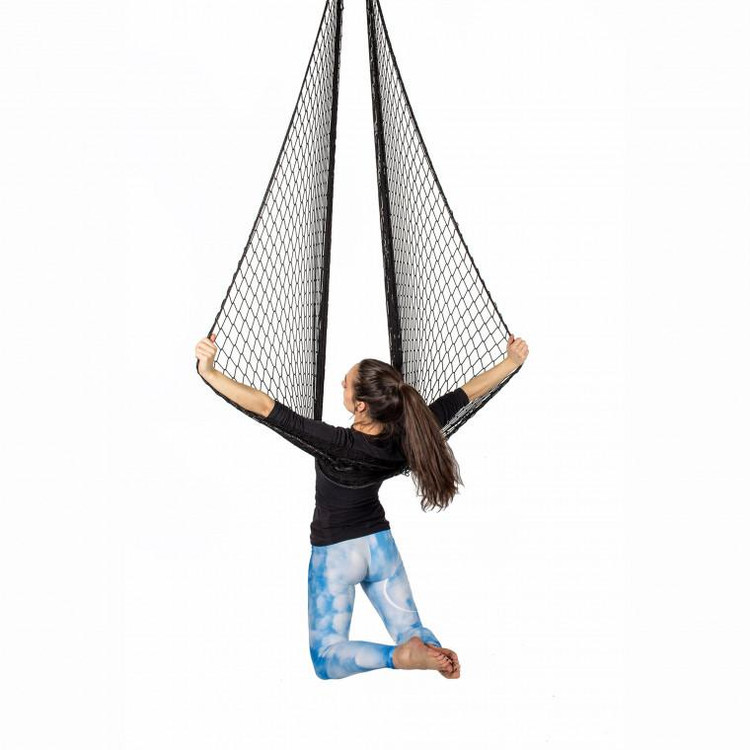 اریال نت flyby